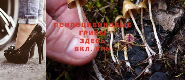 mdma Пестово