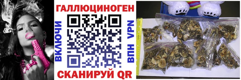 Галлюциногенные грибы GOLDEN TEACHER  Спасск-Рязанский 